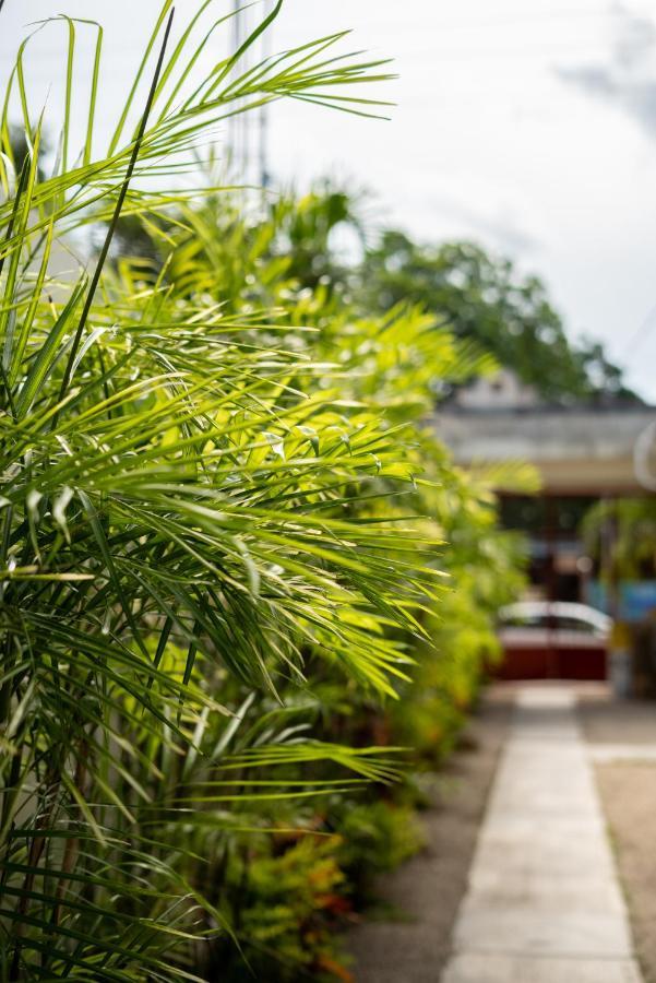 מלון Casa Sabina בקאלאר מראה חיצוני תמונה